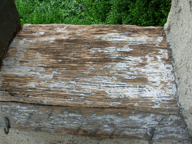 Damaged Wood Scraped